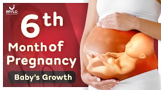 6 Month Pregnancy Baby Growth  6 Month Pregnancy Baby Movement  Mylo Family [upl. by Cudlip]