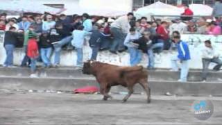 toros de mi pueblo vol 9 9 HD [upl. by Marva]