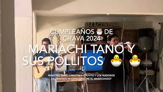 MARIACHI TANO Y SUS POLLITOS 🐣 🐣 🐣 🐣 MUCHAS GRACIAS A TODOS MIS AMIGOS Y COMPAÑEROS DE TRINITATE [upl. by Theron289]