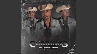 Corrido de Samuel Gilez Ocampo [upl. by Leeban]