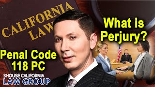 California Perjury Laws  Penal Code 118 [upl. by Ikaz]