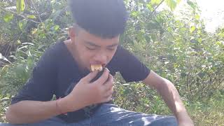 Kien went to find a jackfruit to eat [upl. by Nett]