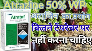 atrazine 50 WP ॥ atrazine  atrataf herbicide  atrazine 50 wp herbicide [upl. by Clorinde]