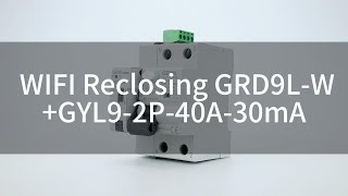 GRD9LW WIFI AUTO RECLOSER  GYL9 2P 40A 30mA RCCB [upl. by Assenov424]