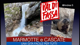 CANAZEI CASCATE E MARMOTTE [upl. by Darryn]