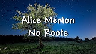 Alice Merton  No Roots  Lyrics [upl. by Zacks]