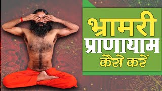 भ्रामरी प्राणायाम कैसे करें  Swami Ramdev [upl. by Alburg936]