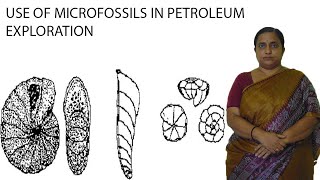 USE OF MICROFOSSILS IN PETROLEUM EXPLORATION [upl. by Servais]