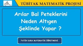 Arılar Bal Peteklerini Neden Altıgen Şeklinde Yapar [upl. by Silado260]