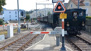 Bahnübergang Hinwil CH  Swiss Railroad Crossing [upl. by Aay]