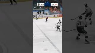 🦅 Robert HAVLÁT 📲 Sledujte 2 ligu živě na czechicehockeytv czechicehockeytv [upl. by Tenaj]