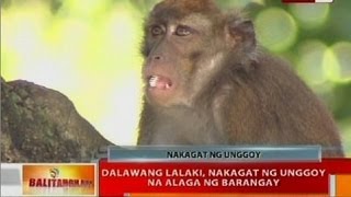 BT Dalawang lalaki nakagat ng unggoy na alaga ng barangay [upl. by Eahsram]