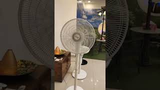 India’s First 360° oscillating designer pedestal fan Hawk by Fanzart Fans 💯 [upl. by Dearr551]