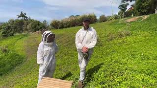 Learn the basics of beekeeping What you need to know to get started in spring [upl. by Hetti323]