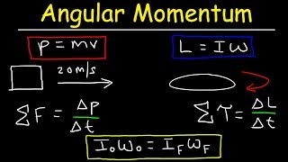 Angular Momentum  Basic Introduction Torque Inertia Conservation of Angular Momentum [upl. by Jamey189]