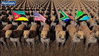 Cheetah Population by Country 2024 [upl. by Gilles]