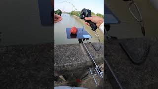 Learn how to set bait in automatic fishing rodWonderful catching techniqueautomatic fishingrod [upl. by Kress498]