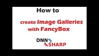 Create an imagevideo gallery with FancyBox on your DNN website [upl. by Leynwad]