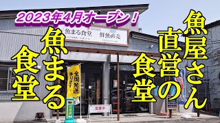 ２０２３年４月オープン、魚屋さん直営の食堂！魚まる食堂【青森県八戸市】 [upl. by Aniuqahs]