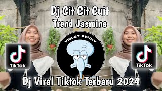 DJ CIT CIT CUIT  CIT CIT CUIT BURUNG BERNYANYI TREND JASMINE VIRAL TIK TOK TERBARU 2024 [upl. by Golda]