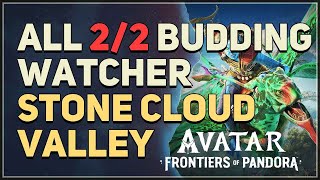 All Stone Cloud Valley Budding Watcher Avatar Frontiers of Pandora [upl. by Ntisuj92]