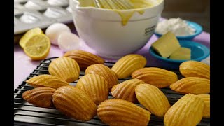 Receta Clásica de Madalenas  How to Make Madeleines [upl. by Bernat678]