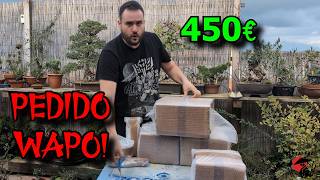 Bonsai UNBOXING premio sorteo BonsaiGranada [upl. by Hartley]