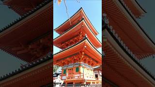 京都『清水寺を歩く』紅葉と建物の朱色に見とれて体当たり注意！笑 [upl. by Sammie]