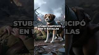 Stubby El Perro Héroe de la Primera Guerra Mundial stubby perros ww1 historiareal inspiracion [upl. by Tallbot]