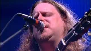 Govt Mule  Banks Of The Deep End [upl. by Nawud]