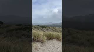 Looking out towards the hills along Pacific City Oregon oregoncoast pacificcity beach [upl. by Zosi38]