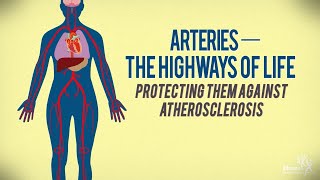 Arteries—The Highways of Life Protecting Them Against Atherosclerosis [upl. by Hamal]