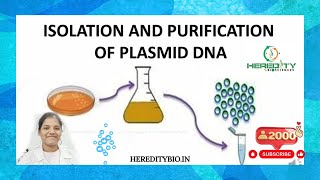 Plasmid DNA Isolation।Alkaline lysis method । Heredity Biosciences [upl. by Tevis338]