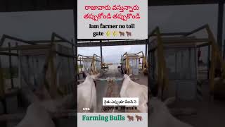 Iam farmer no toll gate 🌾🌾🐂🐂 [upl. by Pedro]