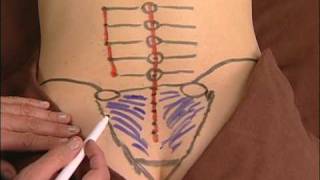 Anatomy Drawing of the Sacroiliac Ligaments [upl. by Acsot]