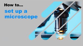 How to set up a microscope [upl. by Nodle]