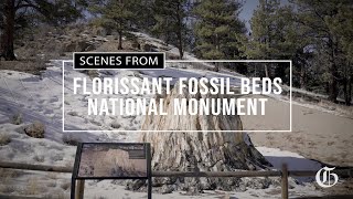 SCENES FROM  Florissant Fossil Beds National Monument [upl. by Letitia]