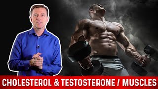 The Importance of Cholesterol for Your Muscles and Testosterone – Dr Berg [upl. by Rumney]