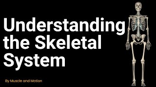 Understanding the Skeletal System Types and Functions of Bones [upl. by Gibbs363]