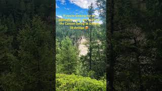 Giant Canyon Swing at Golden Skybridge BC [upl. by Ahsenat336]