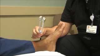 Neurologic Examination of the Foot The 128 Hz Tuning Fork Test [upl. by Teague435]