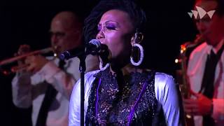 Live Stream CHIC featuring Nile Rodgers trittico Lost in MusicNotoriousOriginal Sin INXS [upl. by Fadas]