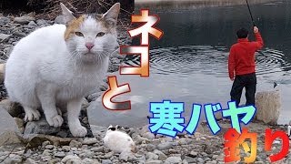 ネコと一緒に寒バヤ釣り Riverfishing Catch amp Eat amp Cat [upl. by Ainotal29]