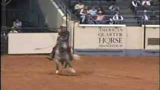 American Quarter Horse Championships [upl. by Ingalls]