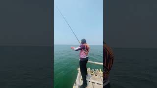 Wow menarik ikan besar fishing predatorrawa bassfishing mancingrawa vidioshort shortvideo [upl. by Burrton]