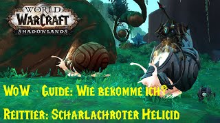 WoWGuide Wie bekomme ich das Reittier Scharlachroter Helicid  Bauplan Scharlachroter Helicid [upl. by Macguiness]