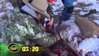 Fred Eichler How to quarter an Elk in less than 10 min Gutless field dressing [upl. by Miller]