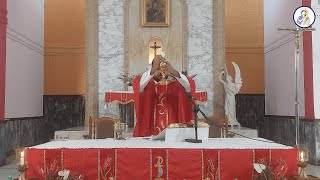 Catholic Mass Today Friday 3 June 2022 [upl. by Chrisoula]