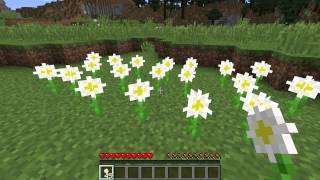 What is an Oxeye Daisy  Minecraft Flower [upl. by Roeser]