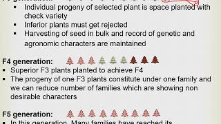 Methods of Breeding Pedigree Method [upl. by Airret]